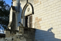 DSC_6821 b l'ombre.jpg