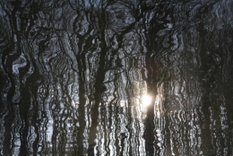 frédéric tison, photographie, étang de la ganne 