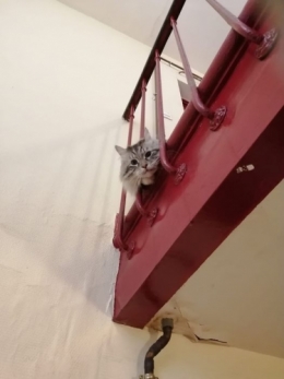 frédéric tison,photographie