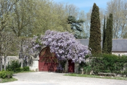 frédéric tison,photographie,la riche,prieuré de saint-cosme,pierre de ronsard