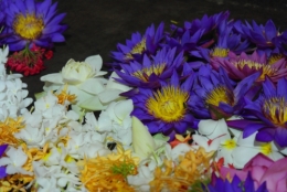 5. Temple sacré 3.jpg