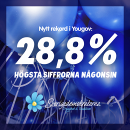 SD poll.png