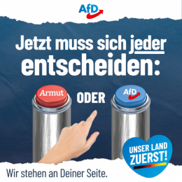 AfD 3.png