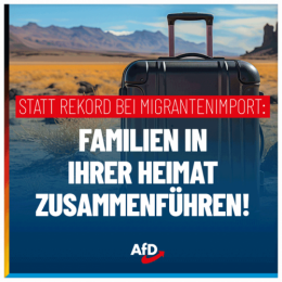 AfD 3.png