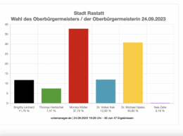 AfD 3.png