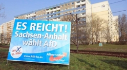 AfD 6.jpg