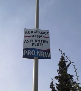Pro 1.jpg