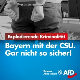 AfD 3.jpg