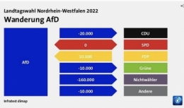 AfD 1.jpeg
