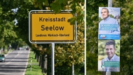 AfD 1.jpeg