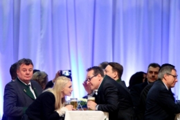 FPÖ 4.jpg