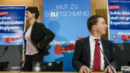 AfD 1.jpg