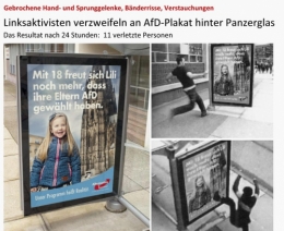 AfD 1.jpg