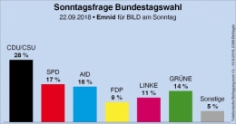 AfD 1.jpg