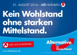 AfD 1.jpg