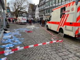AfD 1.jpg
