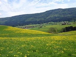 Malleray.jpg