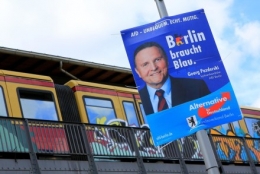 AfD 4.jpg