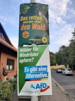 AfD 2.jpeg