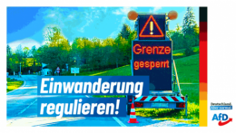 AfD 1.png