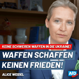 AfD 1.png