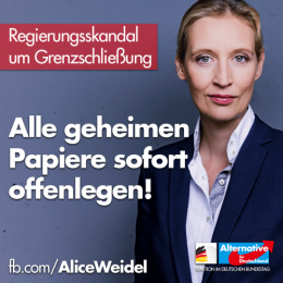 AfD 1.png