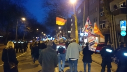 Duis 7.jpg