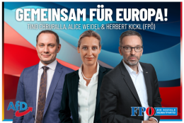 AfD FPÖ.png