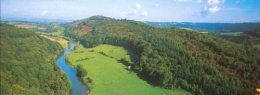 Forest of Dean.jpg