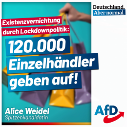 AfD 3.png