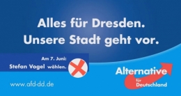 Vogel 1.jpg