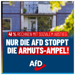 AfD 2.png