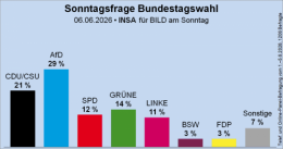 AfD 2.png