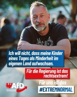 AfD B 1.jpg