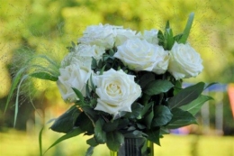Rose blanche.jpg