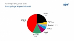 AfD Hambourg 1.jpg