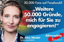 AfD 1.jpg