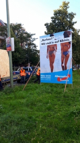 AfD 1.jpg