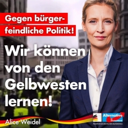 AfD 1.jpg