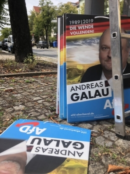 AfD 1.jpg
