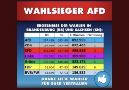 AfD 1.jpg