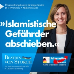 AfD 1.jpg