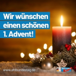 AfD 1.jpg