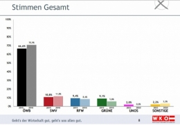 FPÖ 1.jpg