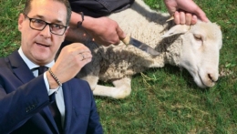 FPÖ 1.jpg