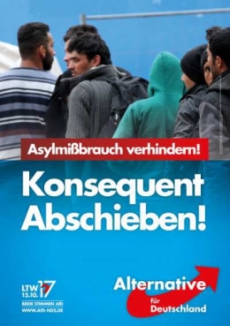 AfD 5.jpg