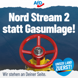 AfD 2.png