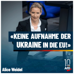 AfD 2.png