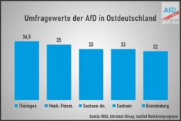 AfD 1.jpeg