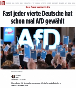 AfD 1.jpeg